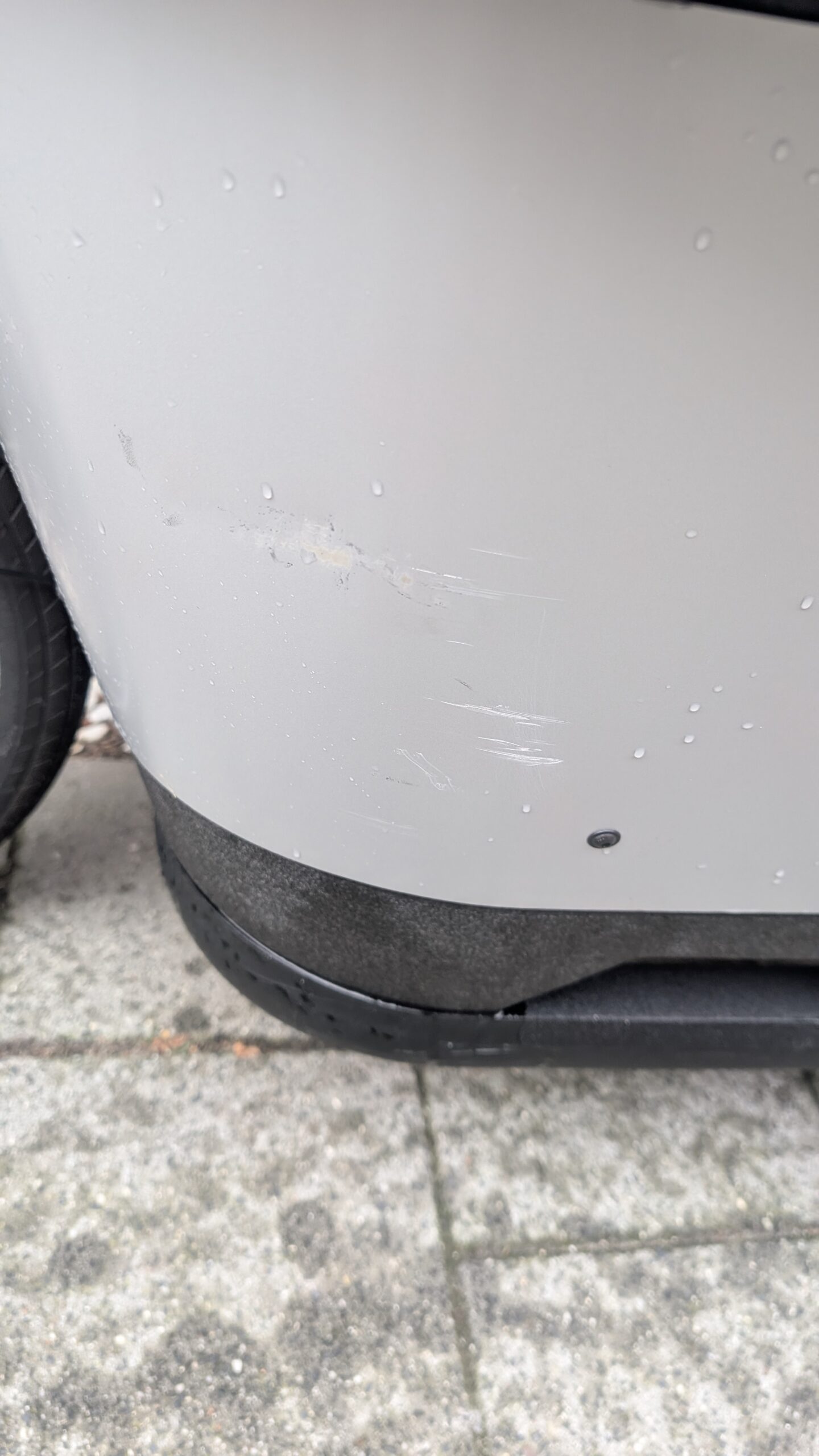 Carqon Cruise bakfiets – Maart 2024 – 1125 km